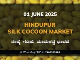 Hindupur Government Silk Cocoon Market Daily Rate Report ಹಿಂದೂಪುರ ರೇಷ್ಮೆ ಗೂಡು ಮಾರುಕಟ್ಟೆ ಧಾರಣೆ