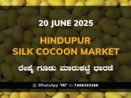 Hindupur Government Silk Cocoon Market Daily Rate Report ಹಿಂದೂಪುರ ರೇಷ್ಮೆ ಗೂಡು ಮಾರುಕಟ್ಟೆ ಧಾರಣೆ