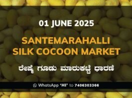 Silk Santhemarahalli Santemarahalli Government Cocoon Market ಸಂತೇಮರಹಳ್ಳಿ ರೇಷ್ಮೆ ಗೂಡು ಮಾರುಕಟ್ಟೆ ಧಾರಣೆ
