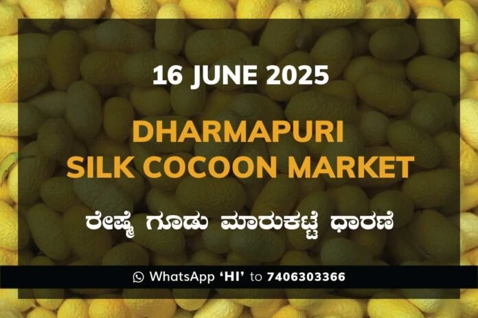 53 Dharmapuri Government Silk Cocoon Market Daily Rate Report ಧರ್ಮಪುರಿ ರೇಷ್ಮೆ ಗೂಡು ಮಾರುಕಟ್ಟೆ ಧಾರಣೆ