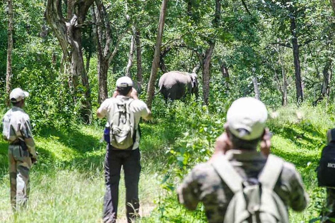 Bandipur forest staff stumbles: Controversy over taking tourists to restricted area