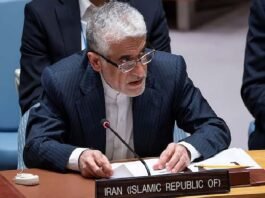 Amir Saeed Iravani