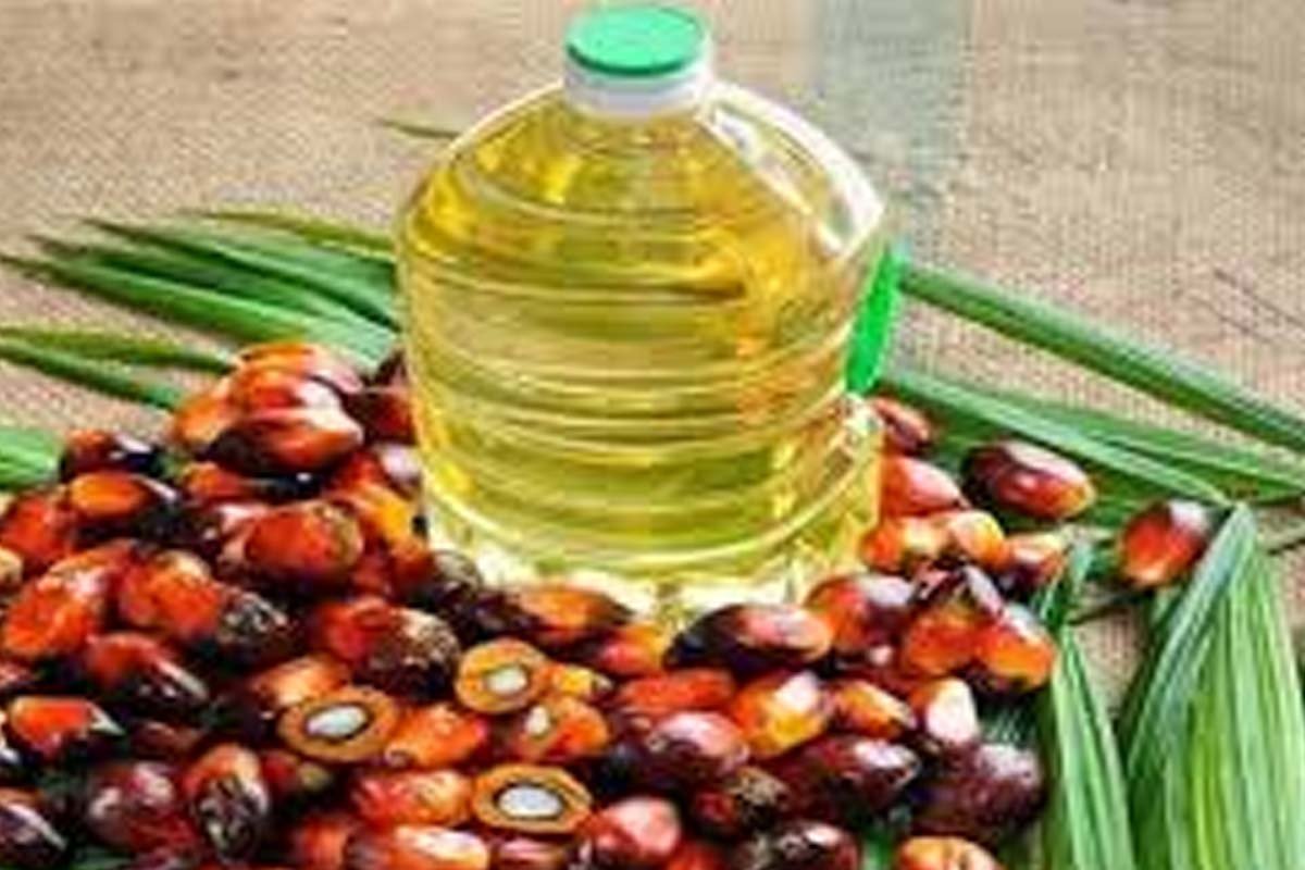 Palm oil Palm oil