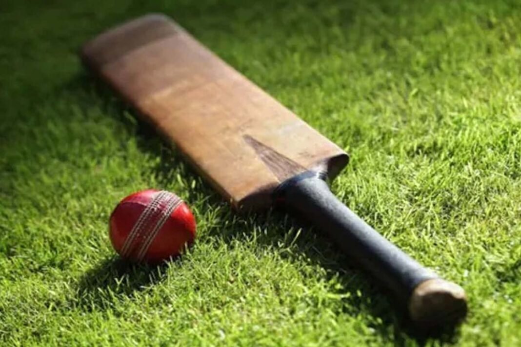 Cricket