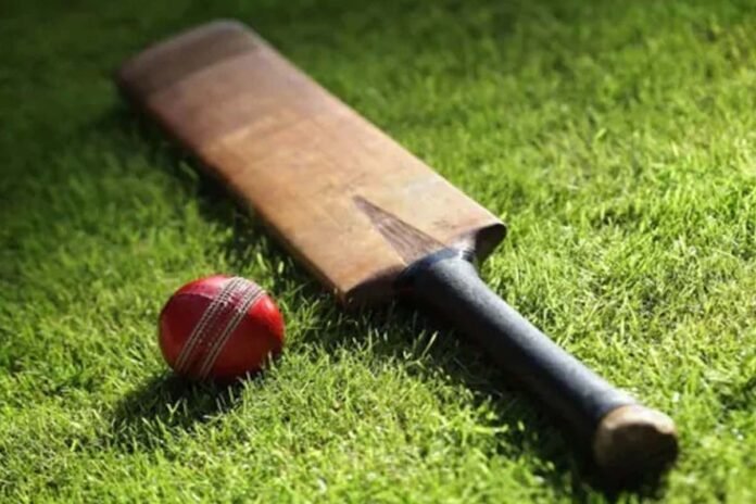Cricket Cricket