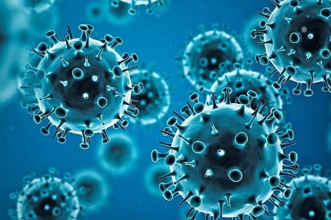 Coronavirus