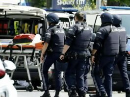 Shooting at Graz school in Austria: 8 dead, many injured