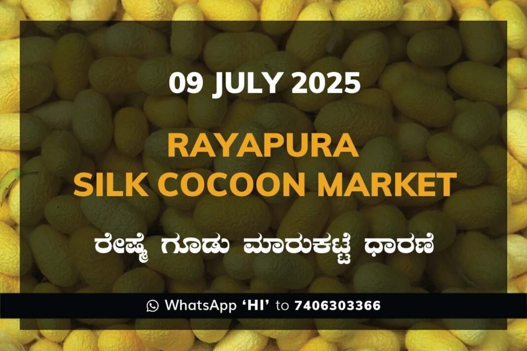 Rayapura Government Silk Cocoon Market Daily Rate Report ರಾಯಪುರ ರೇಷ್ಮೆ ಗೂಡು ಮಾರುಕಟ್ಟೆ ಧಾರಣೆ