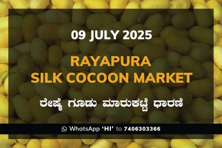 Rayapura Government Silk Cocoon Market Daily Rate Report ರಾಯಪುರ ರೇಷ್ಮೆ ಗೂಡು ಮಾರುಕಟ್ಟೆ ಧಾರಣೆ