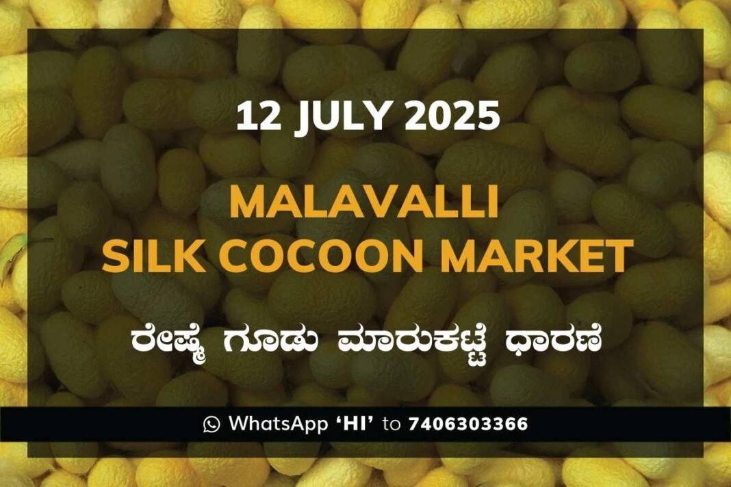 Malavalli Silk Cocoon Market Price Rate ಮಳವಳ್ಳಿ ರೇಷ್ಮೆ ಗೂಡು ಮಾರುಕಟ್ಟೆ ಧಾರಣೆ