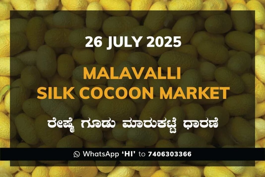 Malavalli Silk Cocoon Market Price Rate ಮಳವಳ್ಳಿ ರೇಷ್ಮೆ ಗೂಡು ಮಾರುಕಟ್ಟೆ ಧಾರಣೆ