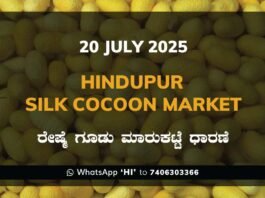 Hindupur Government Silk Cocoon Market Daily Rate Report ಹಿಂದೂಪುರ ರೇಷ್ಮೆ ಗೂಡು ಮಾರುಕಟ್ಟೆ ಧಾರಣೆ