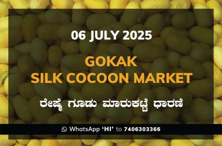 Gokak Government Silk Cocoon Market Daily Rate Report ಗೋಕಾಕ್ ರೇಷ್ಮೆ ಗೂಡು ಮಾರುಕಟ್ಟೆ ಧಾರಣೆ