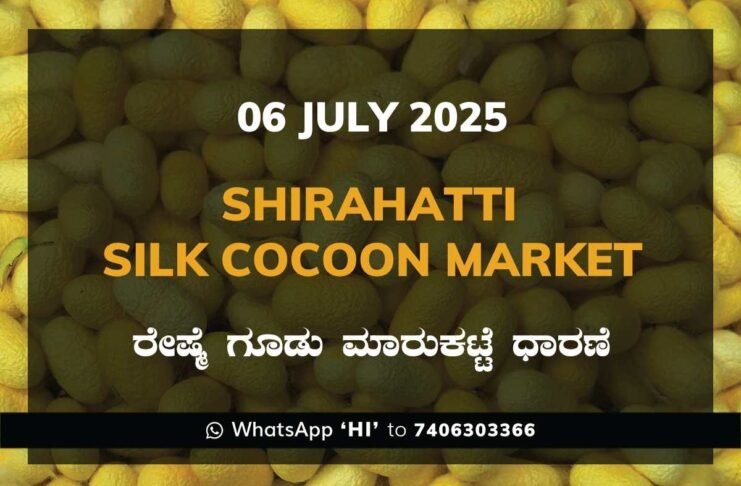 Shirahatti Government Silk Cocoon Market Daily Rate Report ಶಿರಹಟ್ಟಿ ರೇಷ್ಮೆ ಗೂಡು ಮಾರುಕಟ್ಟೆ ಧಾರಣೆ