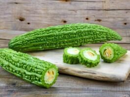 Bitter gourd