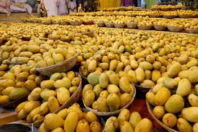 Indian Mango Festival in Seattle, USA!
