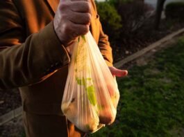 Government incentives for eco -friendly compostable bags instead of plastic