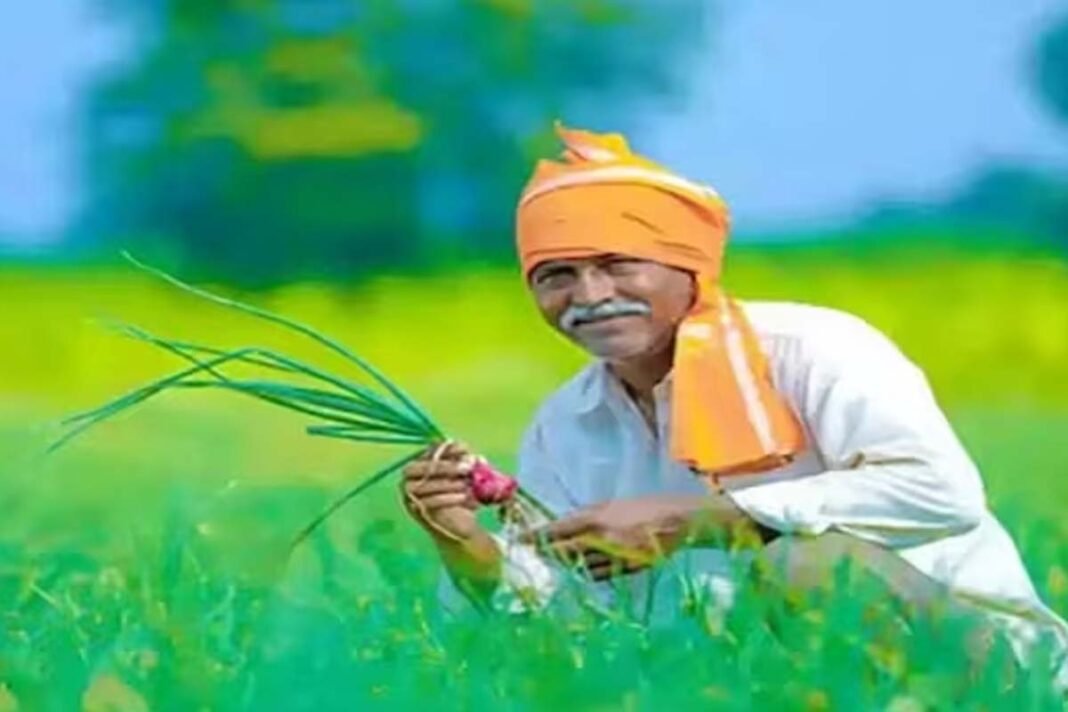 PM Kisan Plan