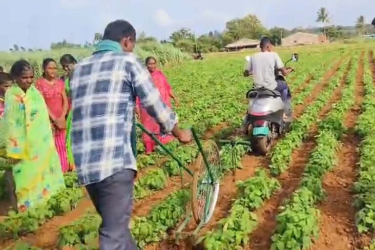 Farming with an electric bike: Less cost, more yield!