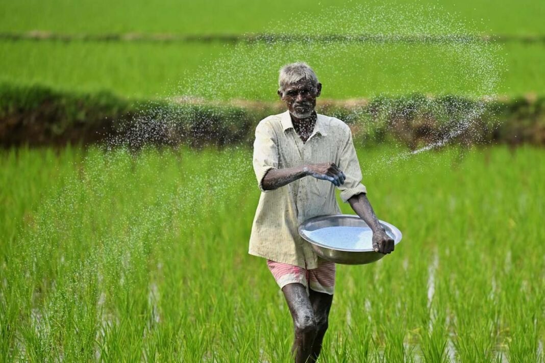 Farmers are facing severe hardship due to shortage of fertilizers across the state