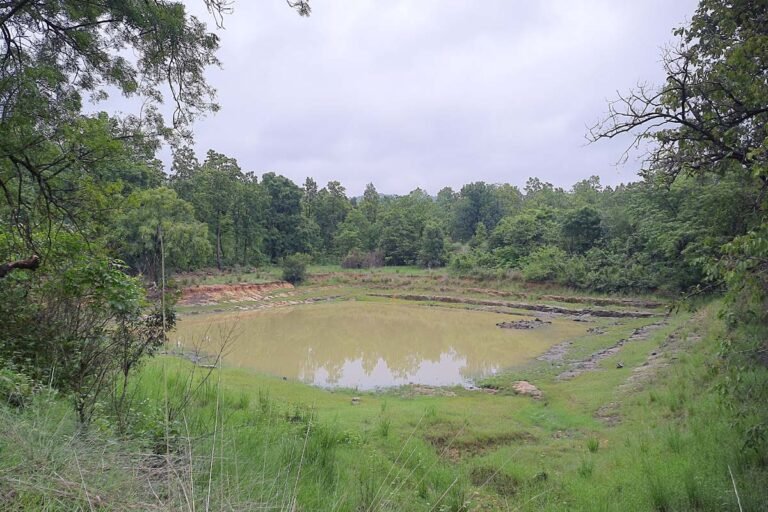 Tribals who dedicated water to the land they were born on!