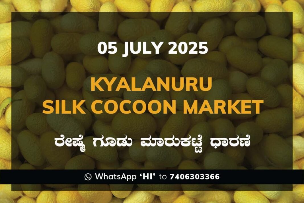 Kyalanur Government Silk Cocoon Market Daily Rate Report ಕ್ಯಾಲನೂರು ರೇಷ್ಮೆ ಗೂಡು ಮಾರುಕಟ್ಟೆ ಧಾರಣೆ