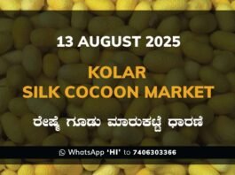 Kolar Silk Cocoon Market Price Rate ಕೋಲಾರ ರೇಷ್ಮೆ ಗೂಡು ಮಾರುಕಟ್ಟೆ ಧಾರಣೆ