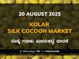 Kolar Silk Cocoon Market Price Rate ಕೋಲಾರ ರೇಷ್ಮೆ ಗೂಡು ಮಾರುಕಟ್ಟೆ ಧಾರಣೆ