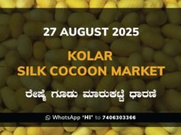 Kolar Silk Cocoon Market Price Rate ಕೋಲಾರ ರೇಷ್ಮೆ ಗೂಡು ಮಾರುಕಟ್ಟೆ ಧಾರಣೆ