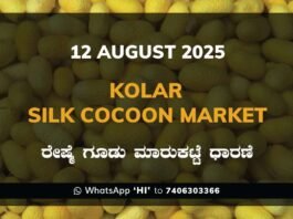 Kolar Silk Cocoon Market Price Rate ಕೋಲಾರ ರೇಷ್ಮೆ ಗೂಡು ಮಾರುಕಟ್ಟೆ ಧಾರಣೆ