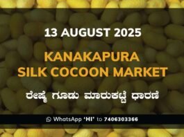 Kanakapura Silk Cocoon Market ಕನಕಪುರ ರೇಷ್ಮೆ ಗೂಡು ಮಾರುಕಟ್ಟೆ ಧಾರಣೆ