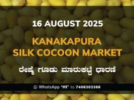 Kanakapura Silk Cocoon Market ಕನಕಪುರ ರೇಷ್ಮೆ ಗೂಡು ಮಾರುಕಟ್ಟೆ ಧಾರಣೆ