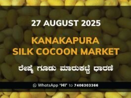 Kanakapura Silk Cocoon Market ಕನಕಪುರ ರೇಷ್ಮೆ ಗೂಡು ಮಾರುಕಟ್ಟೆ ಧಾರಣೆ