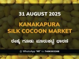 Kanakapura Silk Cocoon Market ಕನಕಪುರ ರೇಷ್ಮೆ ಗೂಡು ಮಾರುಕಟ್ಟೆ ಧಾರಣೆ