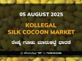 Kollegal Silk Cocoon Market Price Rate ಕೊಳ್ಳೇಗಾಲ ರೇಷ್ಮೆ ಗೂಡು ಮಾರುಕಟ್ಟೆ ಧಾರಣೆ
