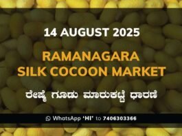 Ramanagara Silk Cocoon Market ರಾಮನಗರ ರೇಷ್ಮೆ ಗೂಡು ಮಾರುಕಟ್ಟೆ ಧಾರಣೆ