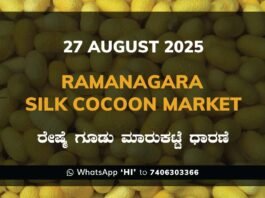 Ramanagara Silk Cocoon Market ರಾಮನಗರ ರೇಷ್ಮೆ ಗೂಡು ಮಾರುಕಟ್ಟೆ ಧಾರಣೆ