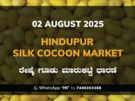 Hindupur Government Silk Cocoon Market Daily Rate Report ಹಿಂದೂಪುರ ರೇಷ್ಮೆ ಗೂಡು ಮಾರುಕಟ್ಟೆ ಧಾರಣೆ