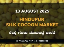 Hindupur Government Silk Cocoon Market Daily Rate Report ಹಿಂದೂಪುರ ರೇಷ್ಮೆ ಗೂಡು ಮಾರುಕಟ್ಟೆ ಧಾರಣೆ