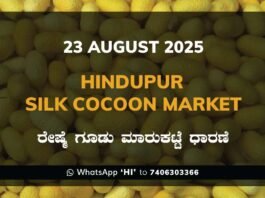 Hindupur Government Silk Cocoon Market Daily Rate Report ಹಿಂದೂಪುರ ರೇಷ್ಮೆ ಗೂಡು ಮಾರುಕಟ್ಟೆ ಧಾರಣೆ