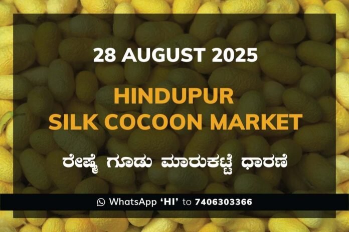 41 Hindupur Government Silk Cocoon Market Daily Rate Report ಹಿಂದೂಪುರ ರೇಷ್ಮೆ ಗೂಡು ಮಾರುಕಟ್ಟೆ ಧಾರಣೆ
