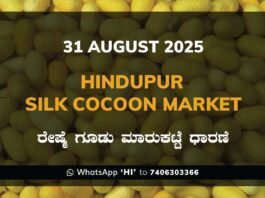 Hindupur Government Silk Cocoon Market Daily Rate Report ಹಿಂದೂಪುರ ರೇಷ್ಮೆ ಗೂಡು ಮಾರುಕಟ್ಟೆ ಧಾರಣೆ