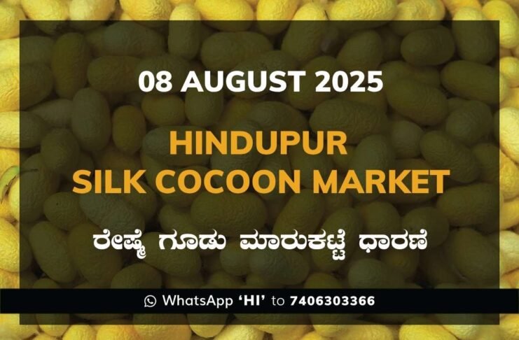 Hindupur Government Silk Cocoon Market Daily Rate Report ಹಿಂದೂಪುರ ರೇಷ್ಮೆ ಗೂಡು ಮಾರುಕಟ್ಟೆ ಧಾರಣೆ