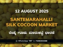 Silk Santhemarahalli Santemarahalli Government Cocoon Market ಸಂತೇಮರಹಳ್ಳಿ ರೇಷ್ಮೆ ಗೂಡು ಮಾರುಕಟ್ಟೆ ಧಾರಣೆ