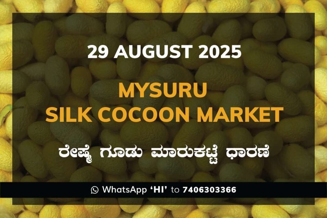 Mysuru Mysore Silk Cocoon Market Price Rate ಮೈಸೂರು ರೇಷ್ಮೆ ಗೂಡು ಮಾರುಕಟ್ಟೆ ಧಾರಣೆ