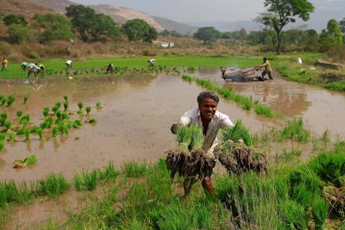 PM Fasal Bima Yojana PM Fasal Bima Yojana