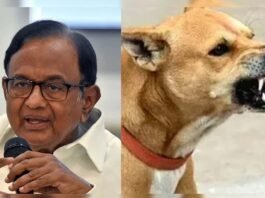 Congress leaders differ on stray dogs
