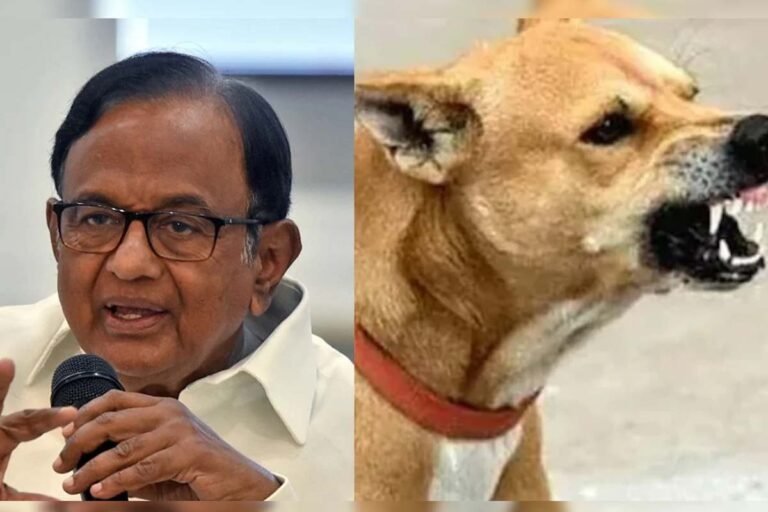 Congress leaders differ on stray dogs