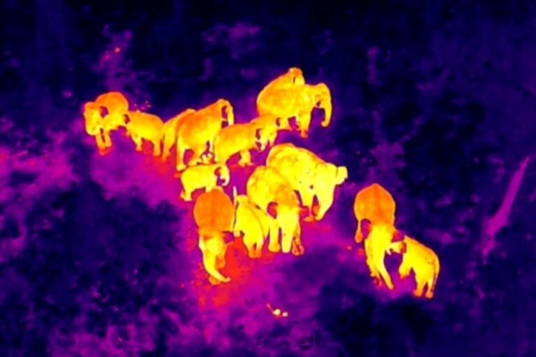 Thermal Drone Squad