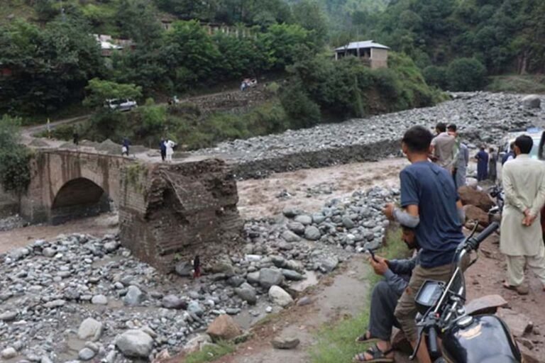 Khyber Pakhtunkhwa province has suffered the most losses due to heavy rains.